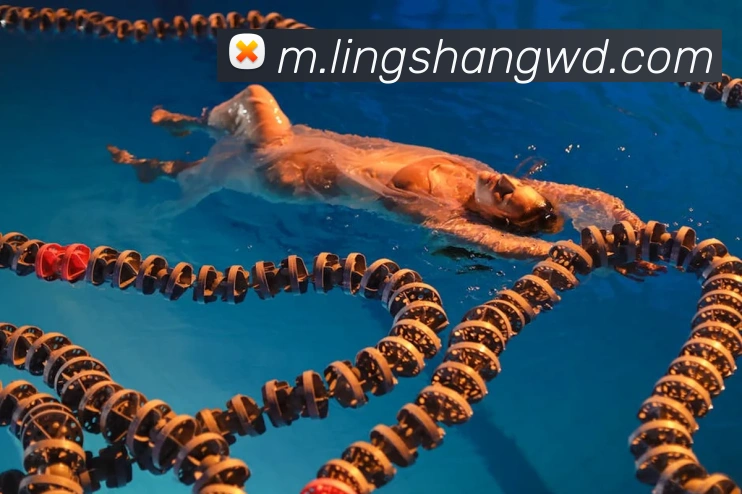 问鼎娱乐平台生态图